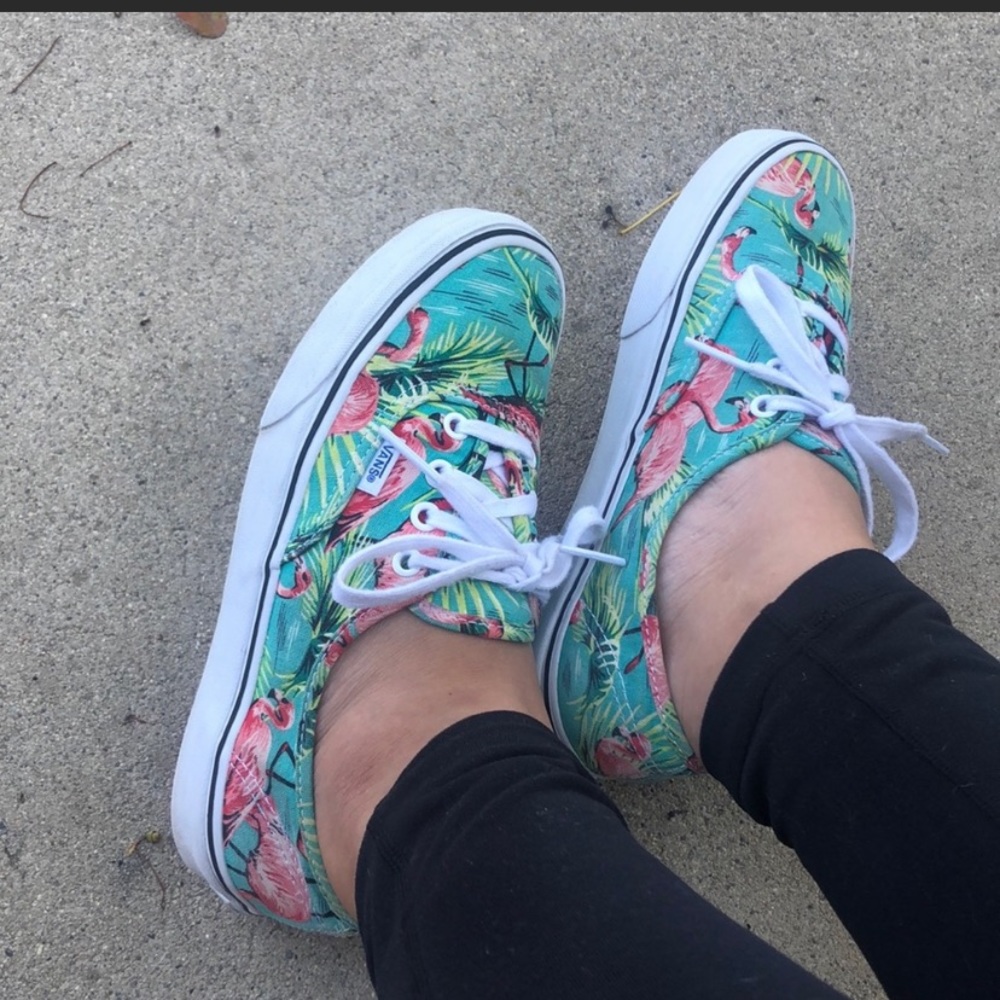 Flamingo Vans, used-good condition